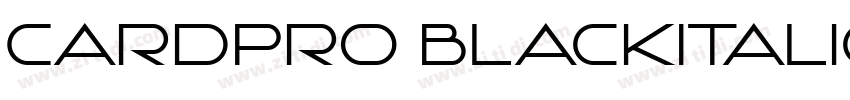 CardPro BlackItalic字体转换